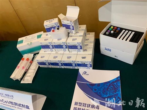 湖北向蒙古国捐赠3万人份核酸试剂盒 3台PCR检测仪